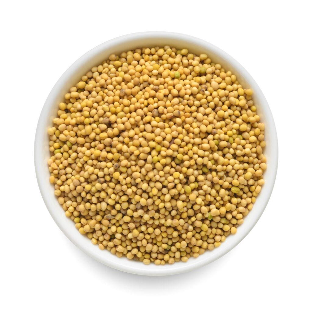 Mustard seeds in white bowl isolated on white. Top view.